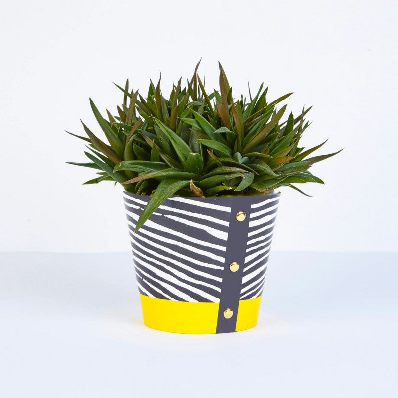 large plant pot covers Large Plant Pot Cover Wood Print – Heavy Gretel